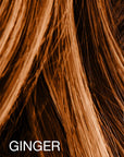 Mane Hair Thickening Fibres