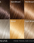 Hair & Beard Touch-Up